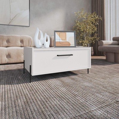 TUHOME Shan 15'' High Minimalistic Coffee Table with Pull-Down Cabinet Door and O
