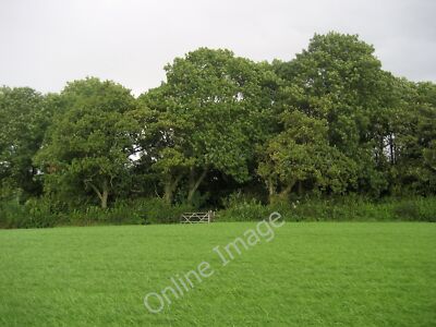 Photo 12x8 Coat Bank Coppice Tatham/SD6069 The footpath is barely visible c2010