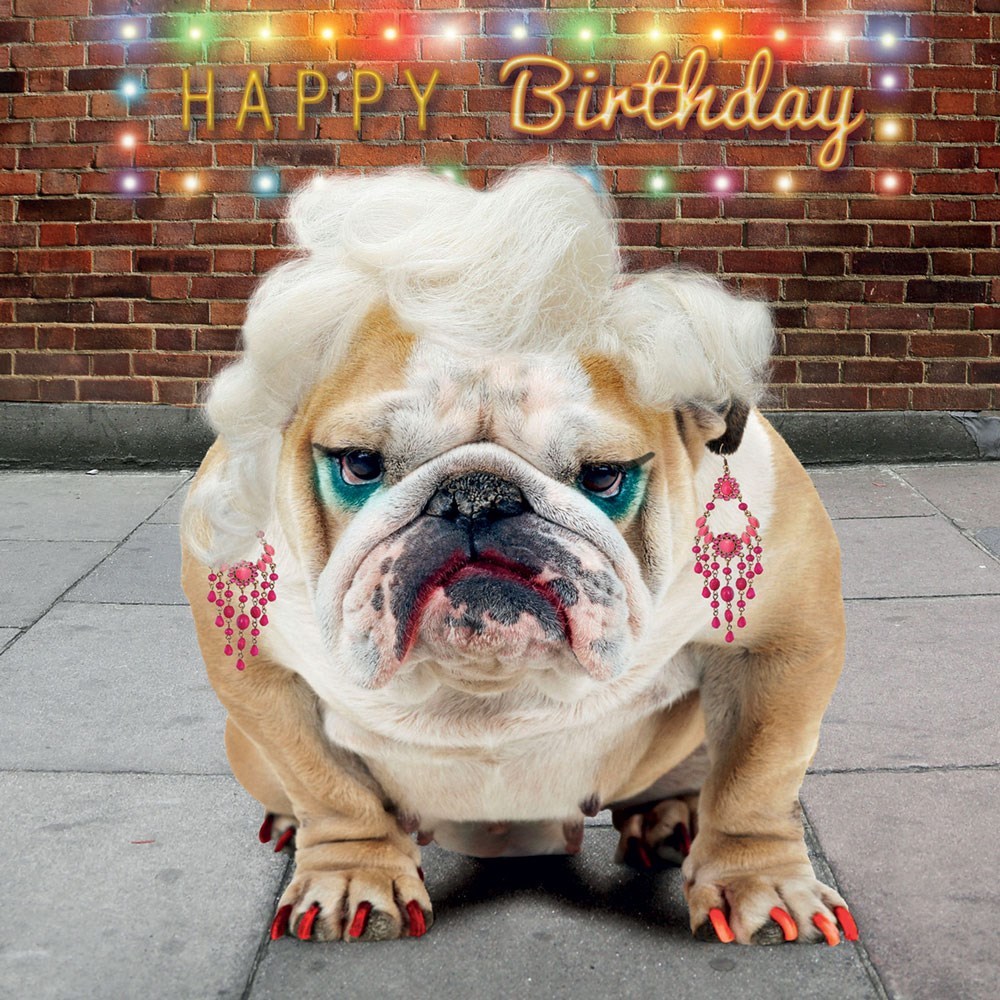 Funny Diva Picture 101591419 Blingee Com