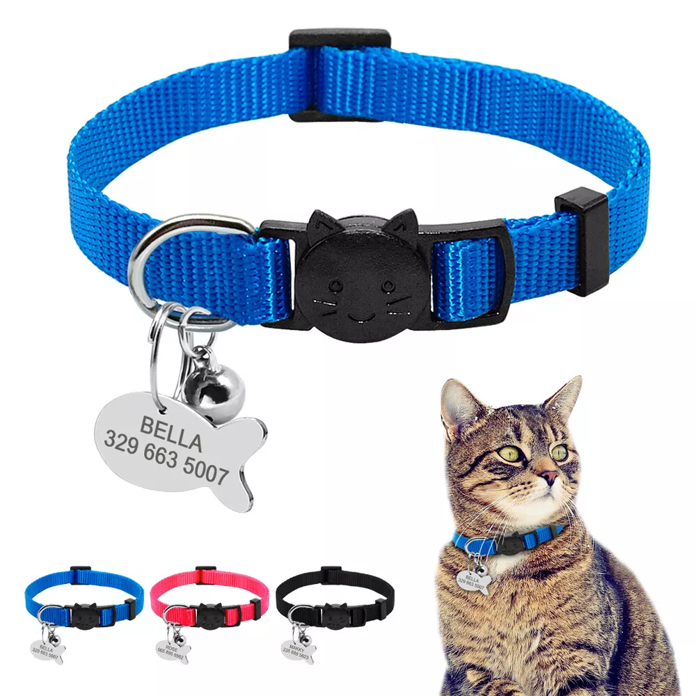 Kitten cat collars cheap