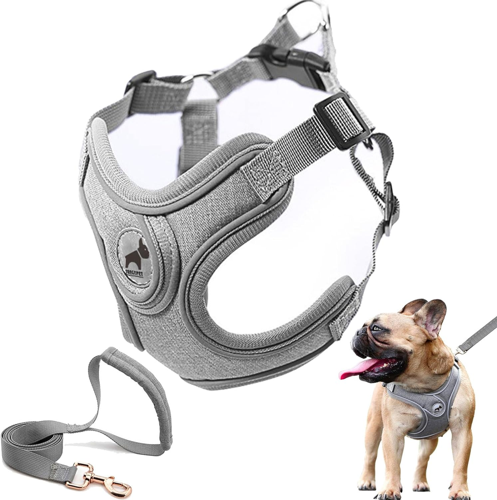 Dog Harness Set, No Pull Adjustable Step-in Collar for Dogs (M, Gray)