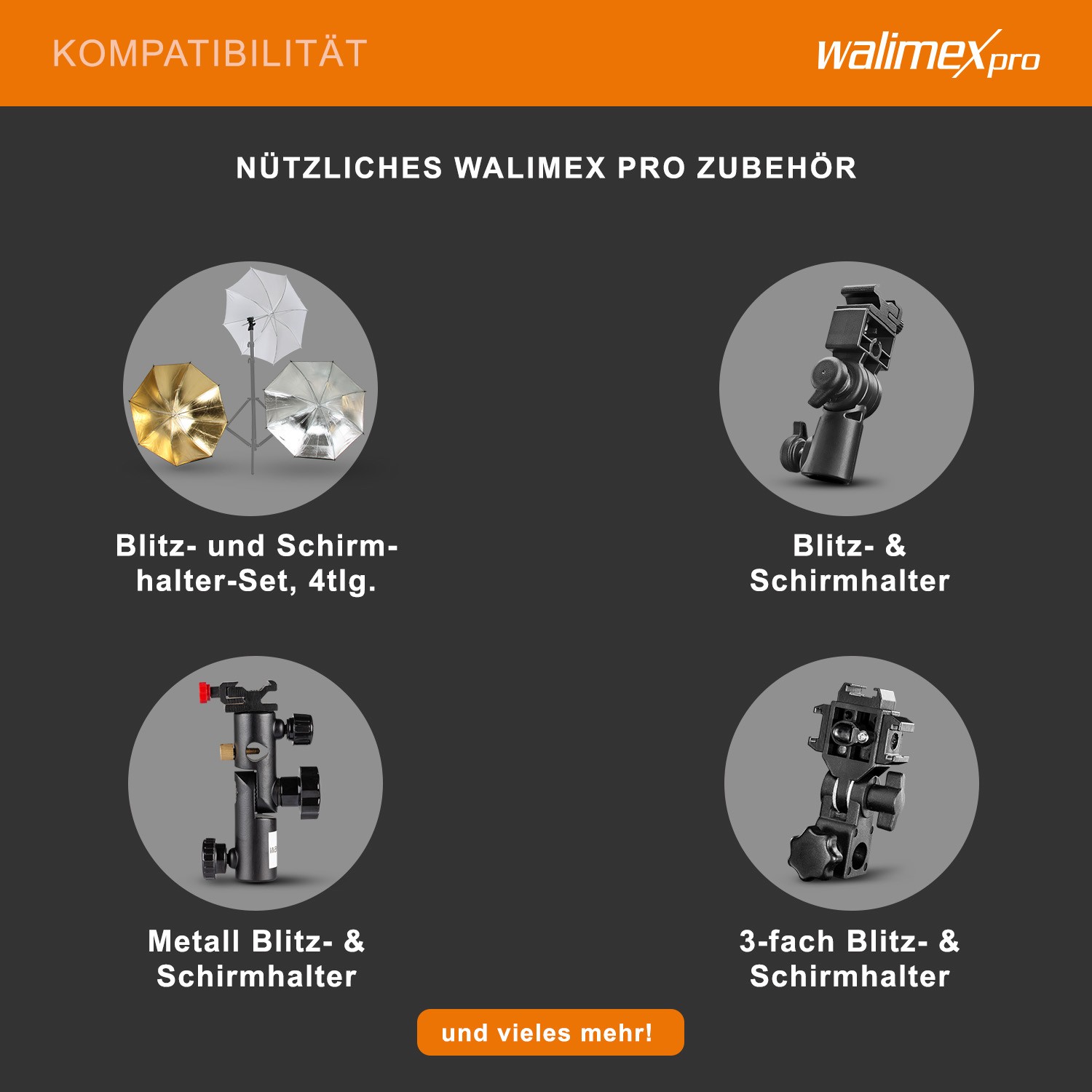 Bild 6 von 6