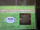 DANIEL HUDSON SIGNED AUTO WORLD SERIES 16X20 PHOTO SILVER INK PSA AUTOGRAPHED B — photo 3