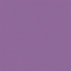 Bild 132 von 153