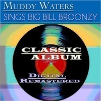 Audio Cd - Muddy Waters - Sings Big Bill Broonzy - Hallmark -D- Neu