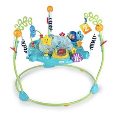 Ocean Explorers Curiosity Cove 2 in 1 Educational Activity Jumper and Floor Toy