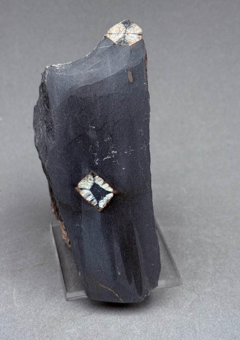 QUIASTOLITA - Mirabel, Caceres - ESPAÑA MINERALES NATURALES COLECCION B23