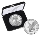 1776-2026 W PROOF  1 Ounce American Silver Eagle US MINT w/ OGP