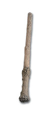 Harry Potter's Wand