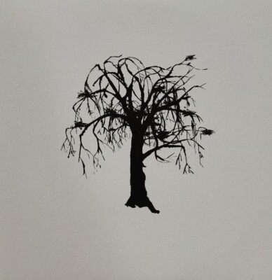Story One-Disposable/Coming Up/Delhi Funeral Vinyl EP 7'' Single.2005 Shy 7SHY1.