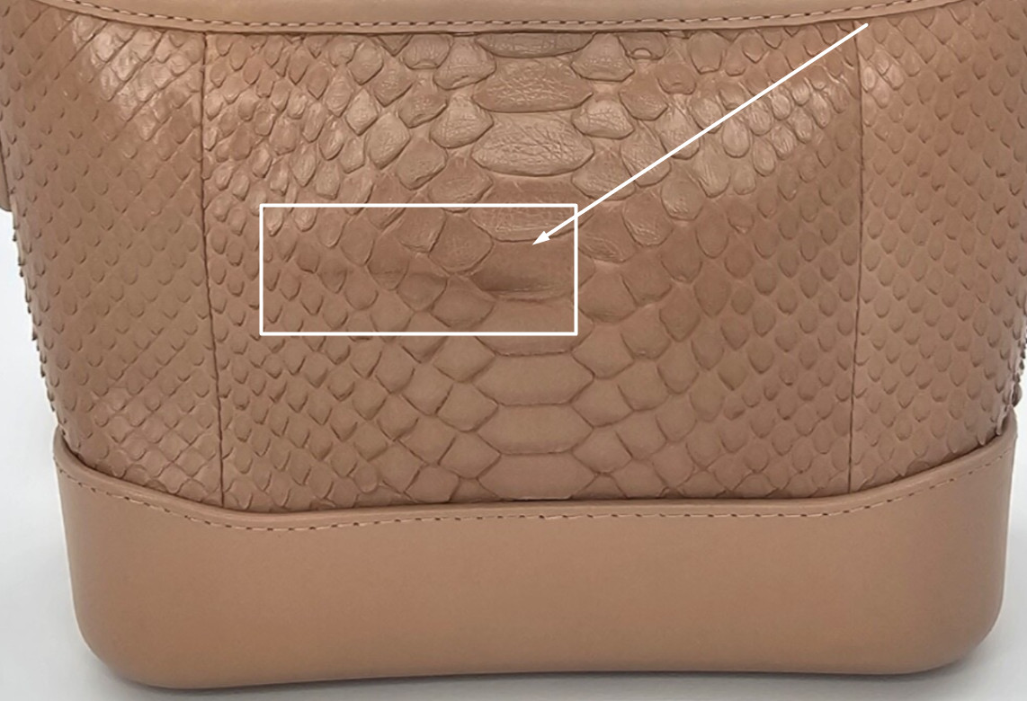 CHANEL Gabrielle Python Snakeskin Small Hobo Nude… - image 23