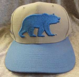 bruins bear hat