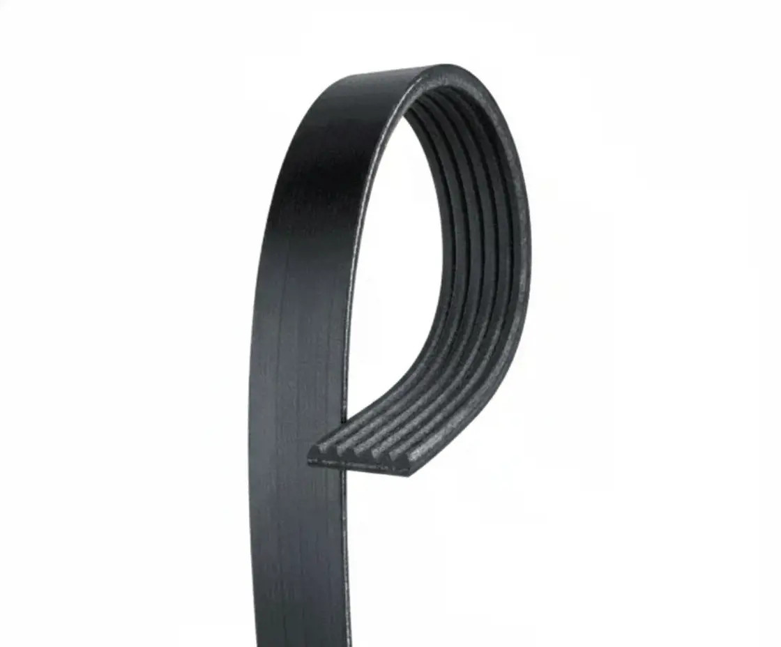 Nero Cinghia Poly-V Gates 6Pk1995 - Immagine 2