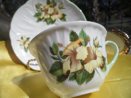 Shelley Oleander Gelb HIBISCUS Tasse Und Untertasse - Grün Rand #0444 - Bild 5 von 11