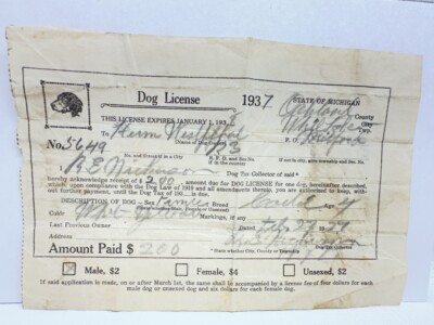 Vintage 1937 Michigan Dog License, Milford, White Lake Twp, Oakland County 