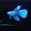 thumbnail 31 - Fish Tank Artificial Ornament Animal Plant Aquarium Landscaping Underwater Decor