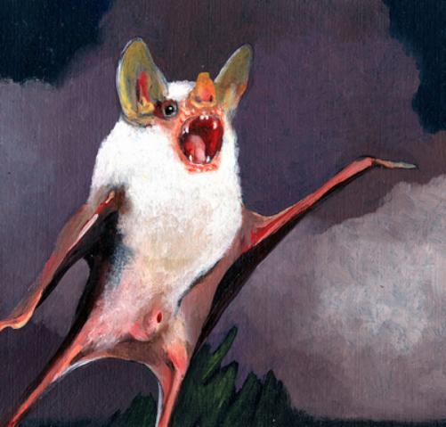 Ninos Du Brasil Vida Eterna (CD) Album