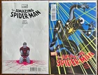The Amazing Spider-Man #656 - 657 - "No One Dies" The Funeral of Marla Jameson