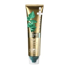 Dentiste Premium Care Toothpaste Postbiotic Zinc Gum Tooth Care Formula 100g