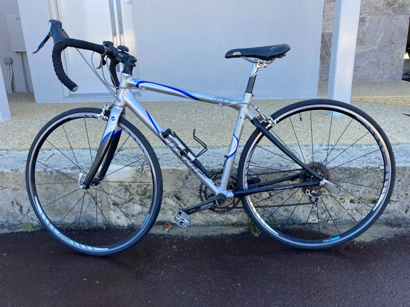 gumtree ladies road bike