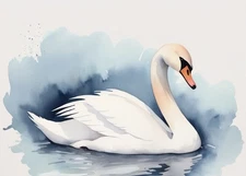 ACEO White Majestic Swan Tiny Miniature Mini *ART PRINT* Watercolor by Saulite