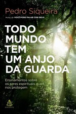 Todo mundo tem um anjo da guarda (Portuguese Edition)