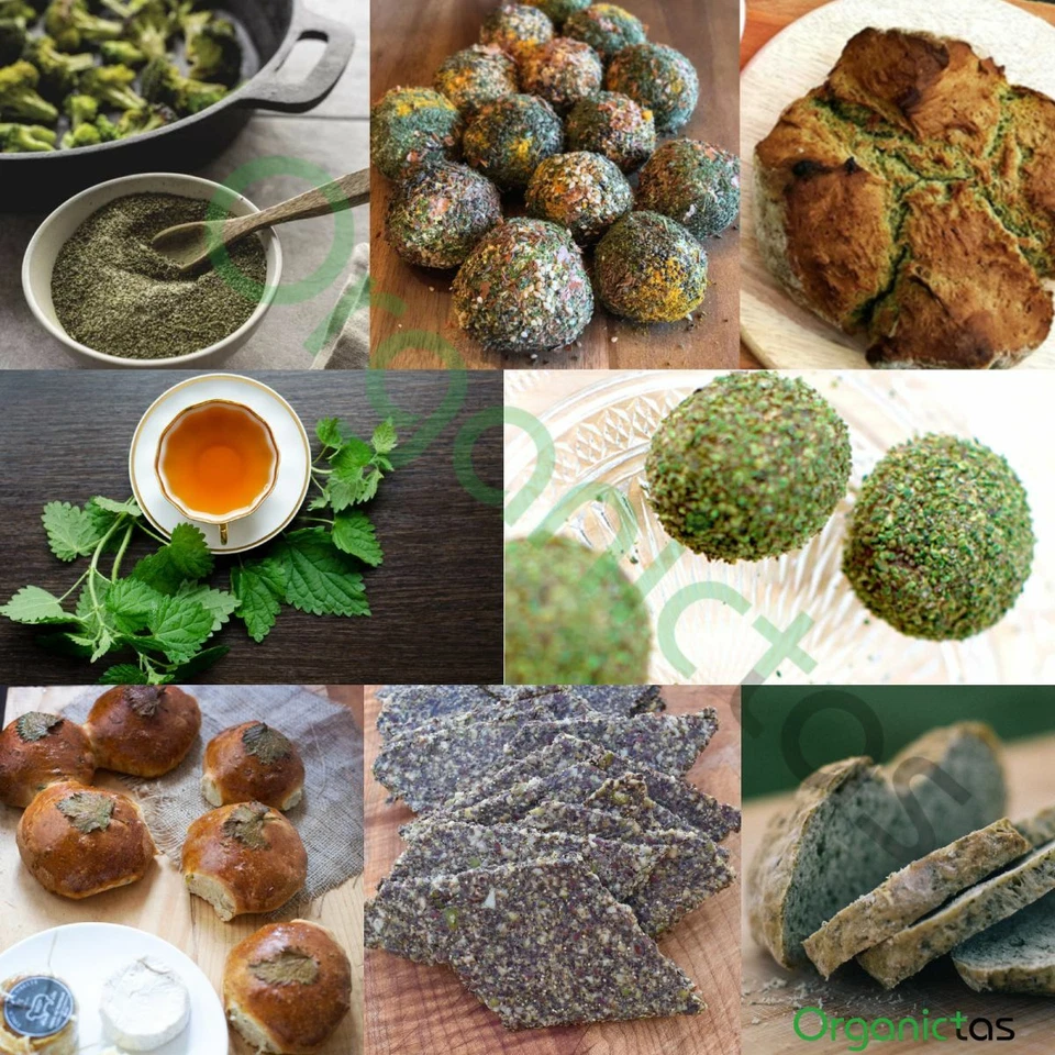 Stinging Nettle Seeds Dried Premium Quality Organic Urtica Dioica 25g-200g BIO - image 3 of 4