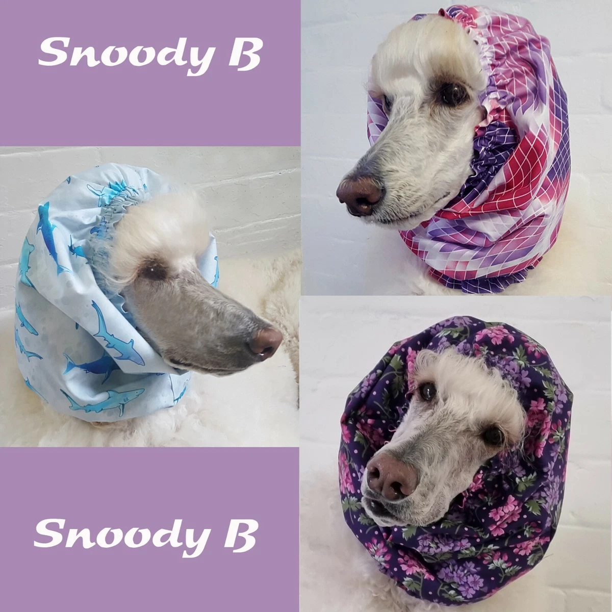 Dog eating clothes 2025