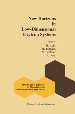 H. Aoki (u. a.) | New Horizons in Low-Dimensional Electron Systems | Taschenbuch