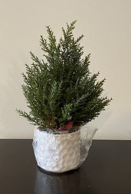 Ragon House 14  Potted Hemlock Pine Tree (artificial)