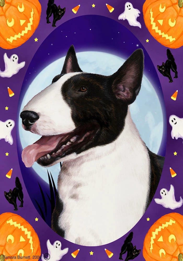 Bull terrier black brindle 2025