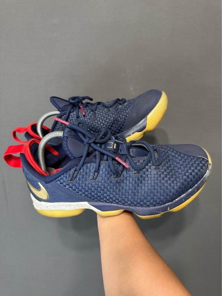 lebron 14 blue and gold