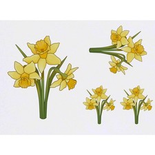 4 x 'Daffodils' Temporary Tattoos / Transfers TO00039571 