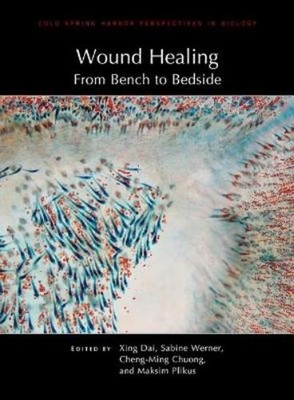 Xing Dai Sabine Werner Cheng-Ming Chu Wound Healing: From (Hardback) (UK IMPORT)