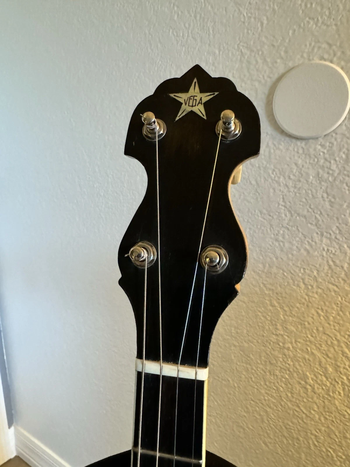 Picture 5 of 16