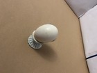 VTG preserved egg easter decoration gray hair bald thick rim glasses — photo 4