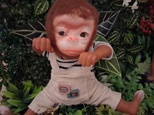 Newbourne Monkey BABY
