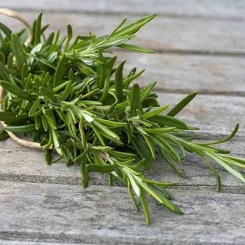 6 Herb Plant Mix - Mixed Herb Plants in 9cm Pots - Ready to Plant - Picture 5 of 9