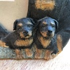 Foto 3 di 12