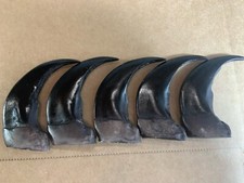 Five Large 3" Black Bear Claws You Get a Total of 5 - Plus Shipping is Free