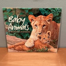 Baby Animals  16 - Month 2025 Calendar