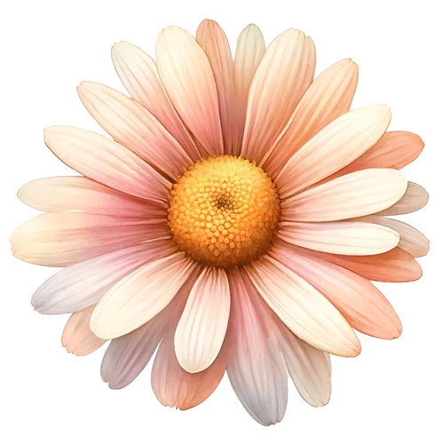 Daisy Flower Floral Self Adhesive Vinyl Sticker