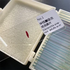 25pcs Parasites Microscope Specimen Slides for Parasitology Teaching Research