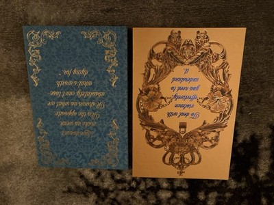 Bookish Box When she Unravels