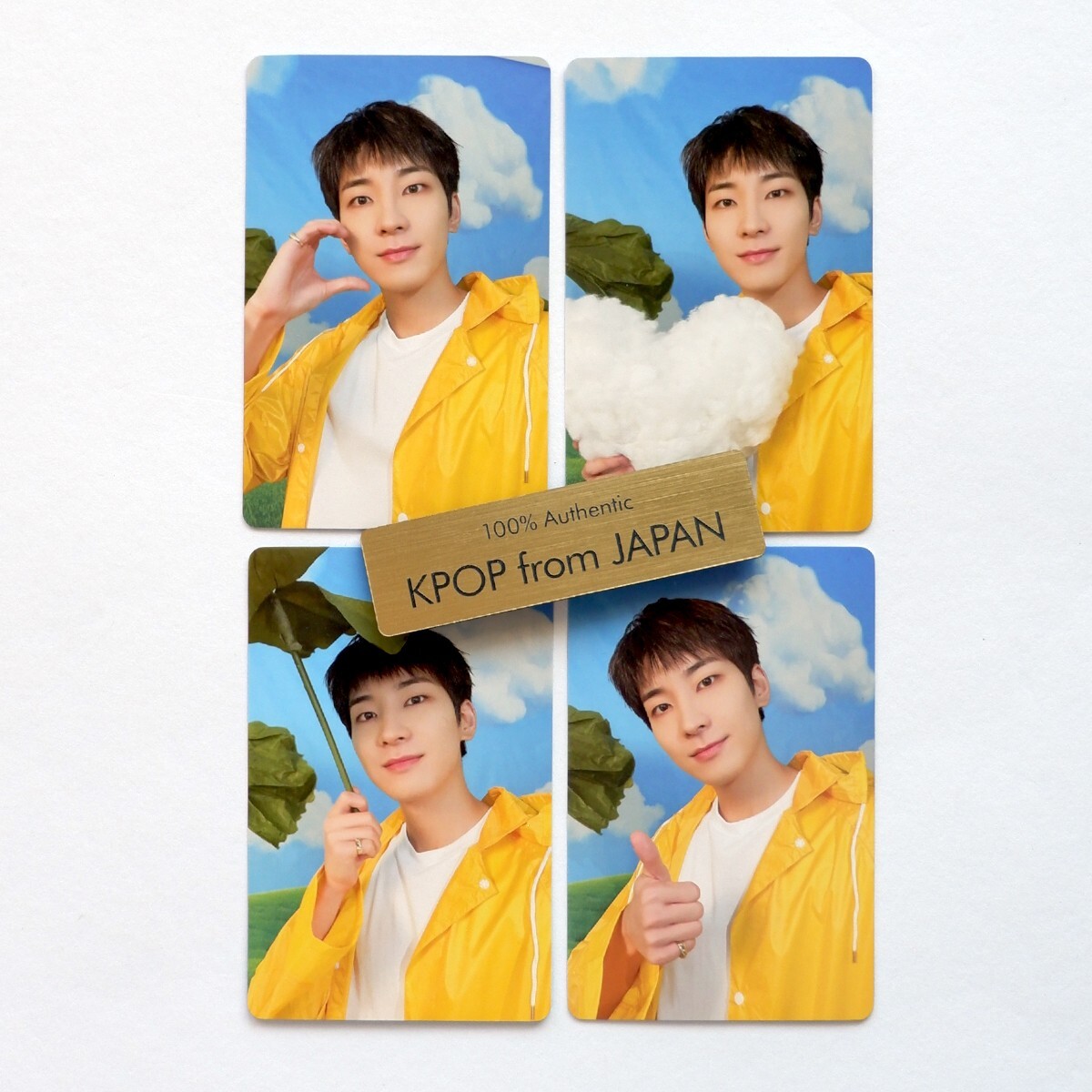 WONWOO SEVENTEEN SEVENTEENTH HEAVEN CARAT ver. Complete