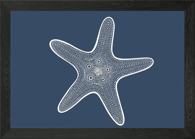 Detailed Starfish Drawing Framed Wall Art Poster Canvas Print Picture
