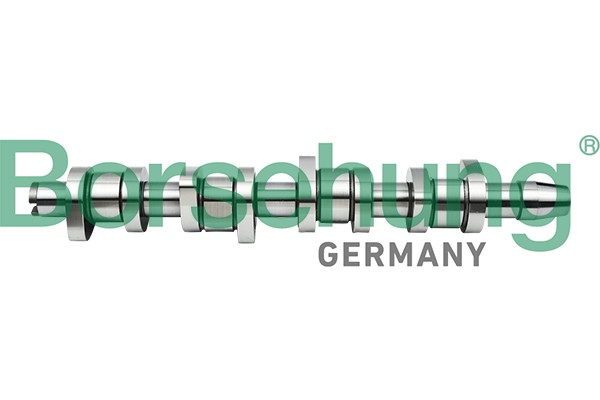 Borsehung B17861 Camshaft for AUDI,SEAT,SKODA,VW