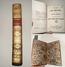 1825 Résumé de l'histoire du Brésil by Ferdinand Denis - Rare first edition book