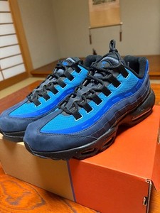 Stash Air Max 95 | eBay