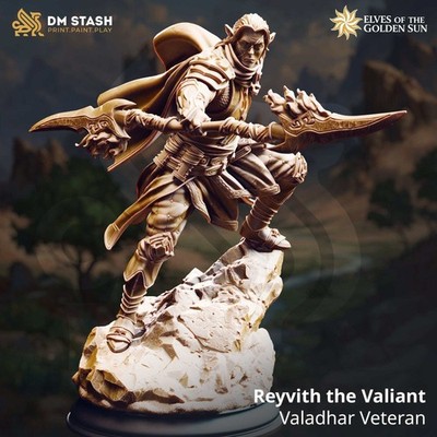 Tabletop Fighter Veteran Reyvith DM Stash
